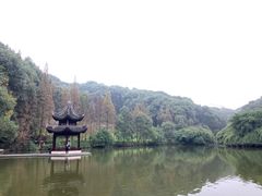 -忠山公园