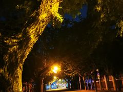 -上海安亭别墅花园酒店