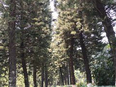 -十九路军淞沪抗日阵亡将士陵园