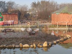 -西安汉城湖景区