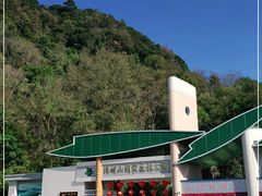 -江西阳明山国家森林公园