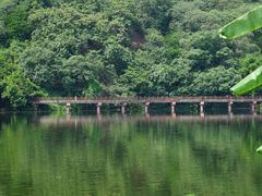-重庆彩云湖湿地公园