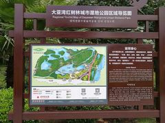 -大亚湾红树林城市湿地公园