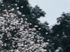 -苏州图书馆(人民路总馆)