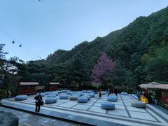 -苍山感通索道