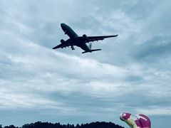 -空港花田景区