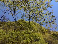 -西安祥峪森林公园