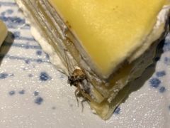-海鼎荟海鲜姿造(仟禧汇店)