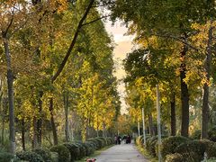 -白鹭湾湿地公园