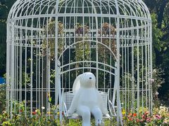 -上海共青森林公园