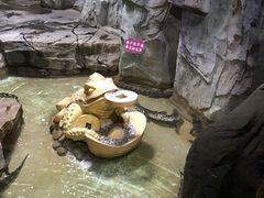 -泉城欧乐堡海洋极地世界