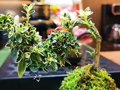 -康熙养生SPA·轻奢足道(江宁万达店)