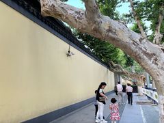 -南京中国近代史遗址博物馆(南京总统府)