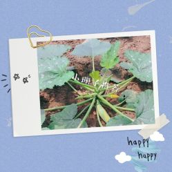 -麦粒鸟亲子游