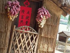 -天目湖山水园
