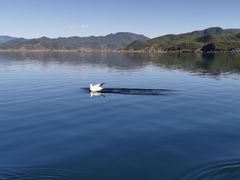 -丽江泸沽湖景区-里格半岛