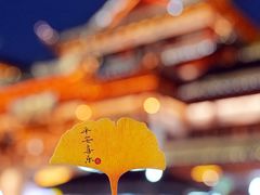 -豫园