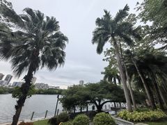 -南宁南湖公园