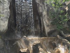 -昆明动物园