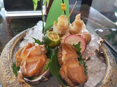 鲍鱼刺身-炙柒Sekinana·精致料理 烧鸟·铁板烧(海上世界店)