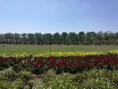 -赛汗塔拉风情园