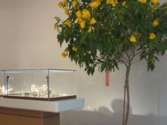 -泉·颂钵冥想·减压·疗愈SPA(前海店)
