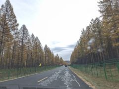 -塞罕坝国家级自然保护区