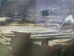 android_upload_pic-河川生态园