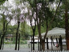 -巴山一绝烤全羊(三圣乡刘家花园店)
