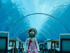 -海棠湾洲际-涛·海底餐厅·美人鱼·自助餐·海底隧道