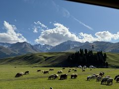 -新疆那拉提国家旅游度假区