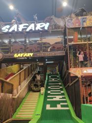 -卡通尼·Safari非洲探索乐园·生日会(金桥国际商业广场店)