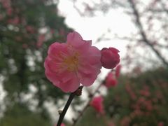 -天赐温泉