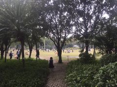 -东风公园