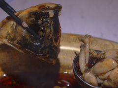 -哥老官重庆美蛙鱼头(龙湖杭州金沙天街店)