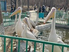 -水上乐园·欢乐世界