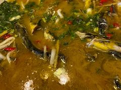-胖大姐黄辣丁鱼庄(新津店)