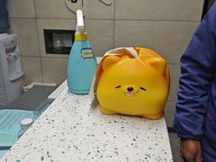 -半岛宠物医院24小时(白果林店)