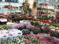 -双季花艺园艺市场(浦东店)