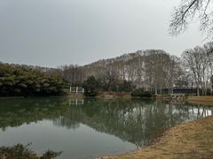 -河南省黄河迎宾馆