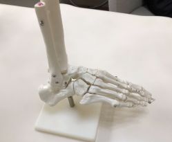-圣嘉新医疗美容医院