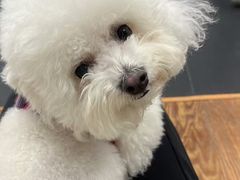 -AMRAP综合体能训练