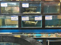 水产区-聚鑫阁江浙菜·非遗传承技艺(青村帝华园店)
