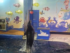 -太平洋海底世界