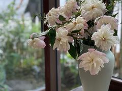 -扫雪煮茶(西村店)