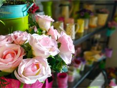 -桂林市花鸟市场