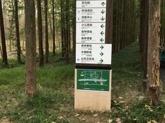 -黄海国家森林公园