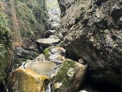 -鹿院坪生态旅游景区