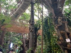 -正佳雨林生态植物园