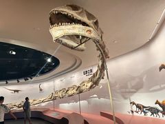 -自贡恐龙博物馆